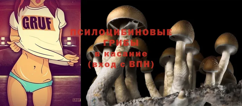 Галлюциногенные грибы MAGIC MUSHROOMS  Касли 